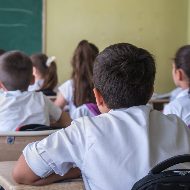 school children are participating actively in class.